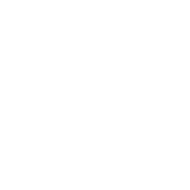 blog-mfa-logo-ghostedS Moms For America Logo