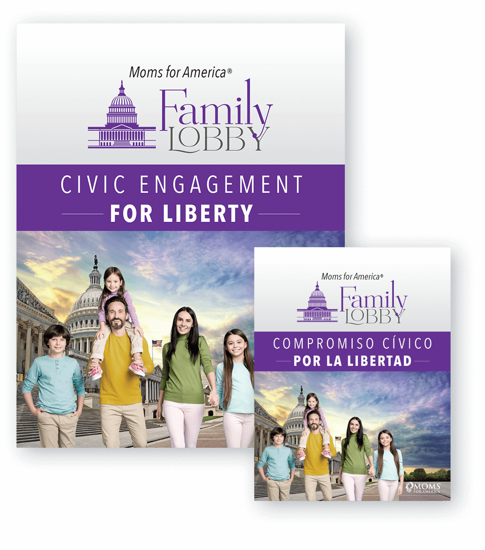 Family Lobby A Mom's Guide - English & Spanish