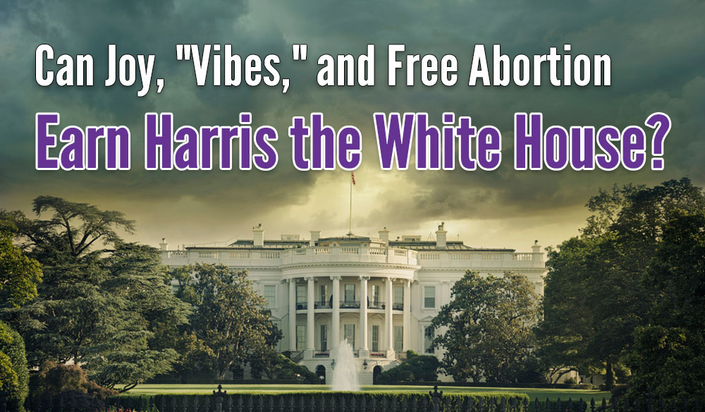 Can Joy, "Vibes," and Free Abortion Earn Harris the White House? - Moms for America Newsletter Blog Article
