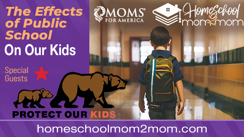 The Effects of Public School On Our Kids - Moms for America Webinar on Demand